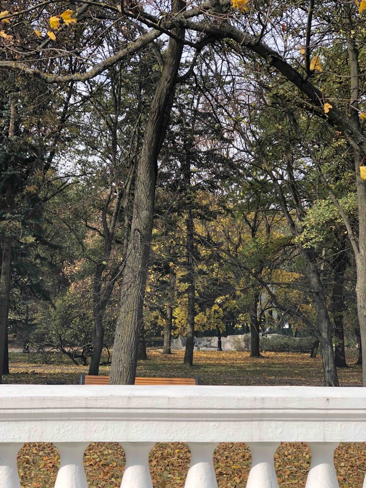 park