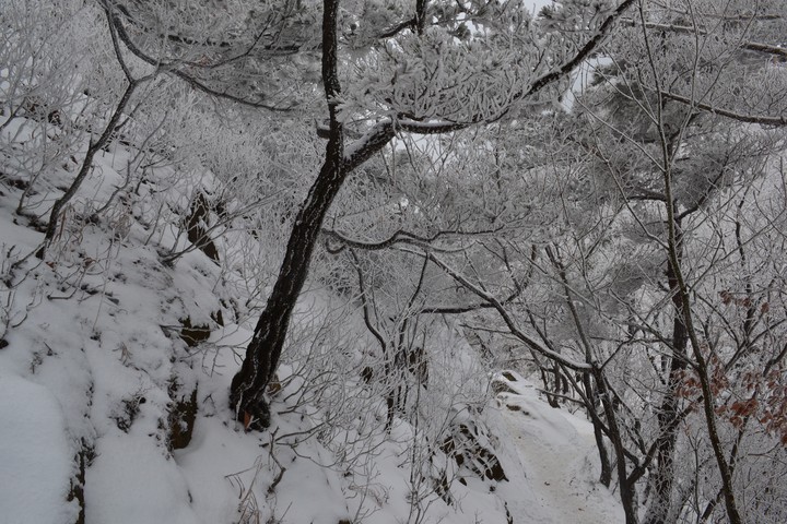 관악산의겨울이미지
