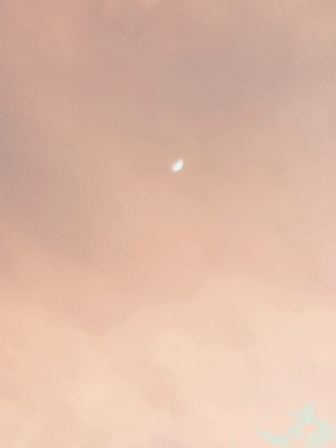 The moon