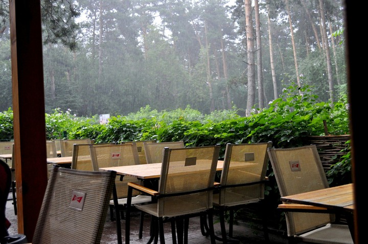 rain sound