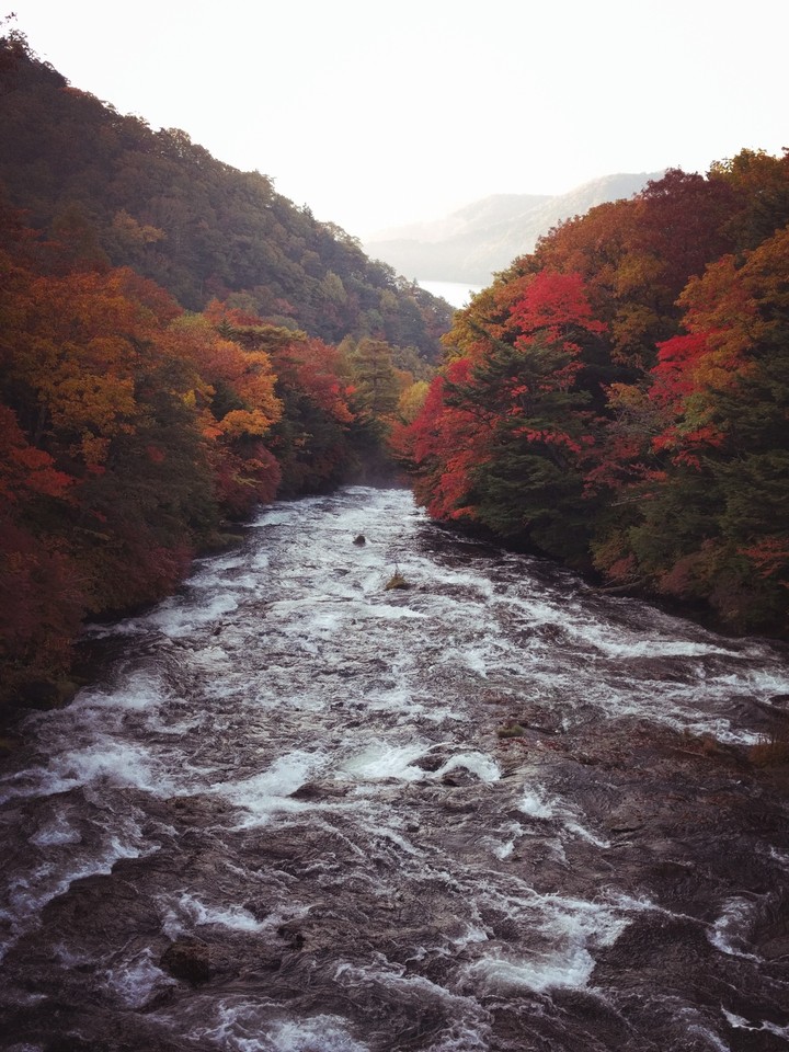 autumn