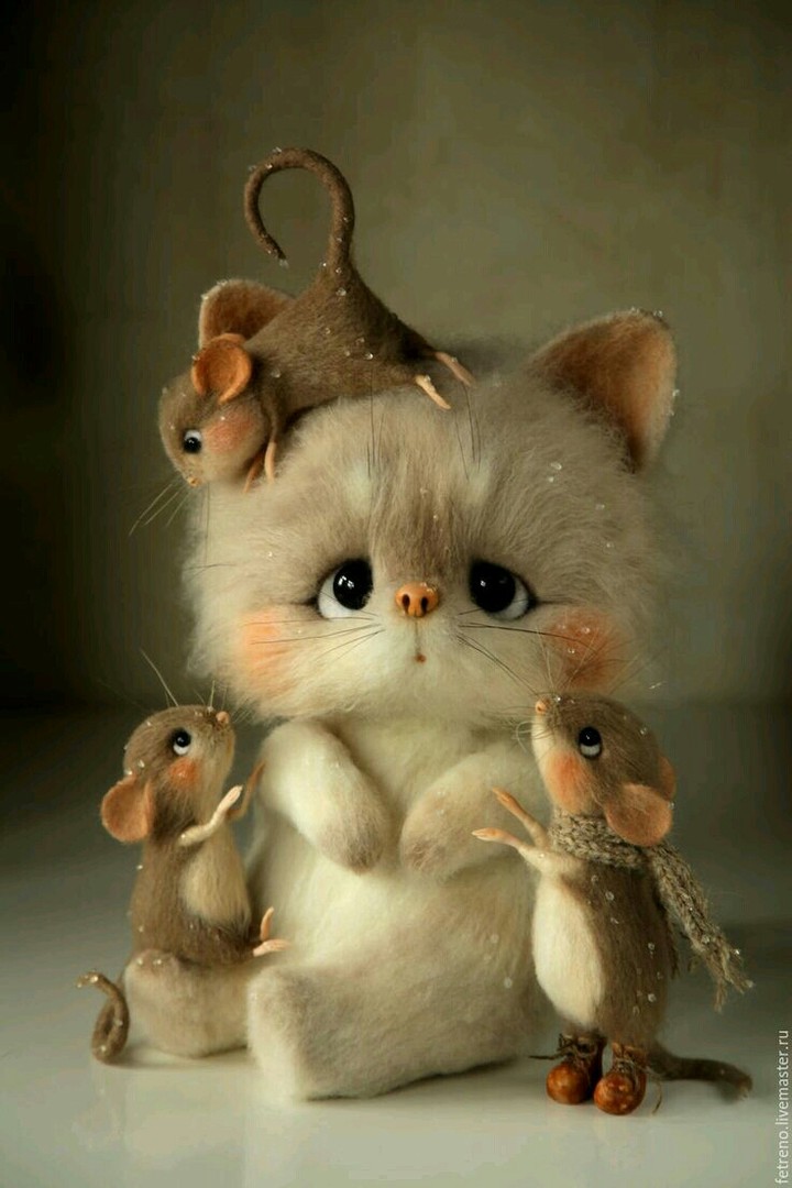 Awwwww