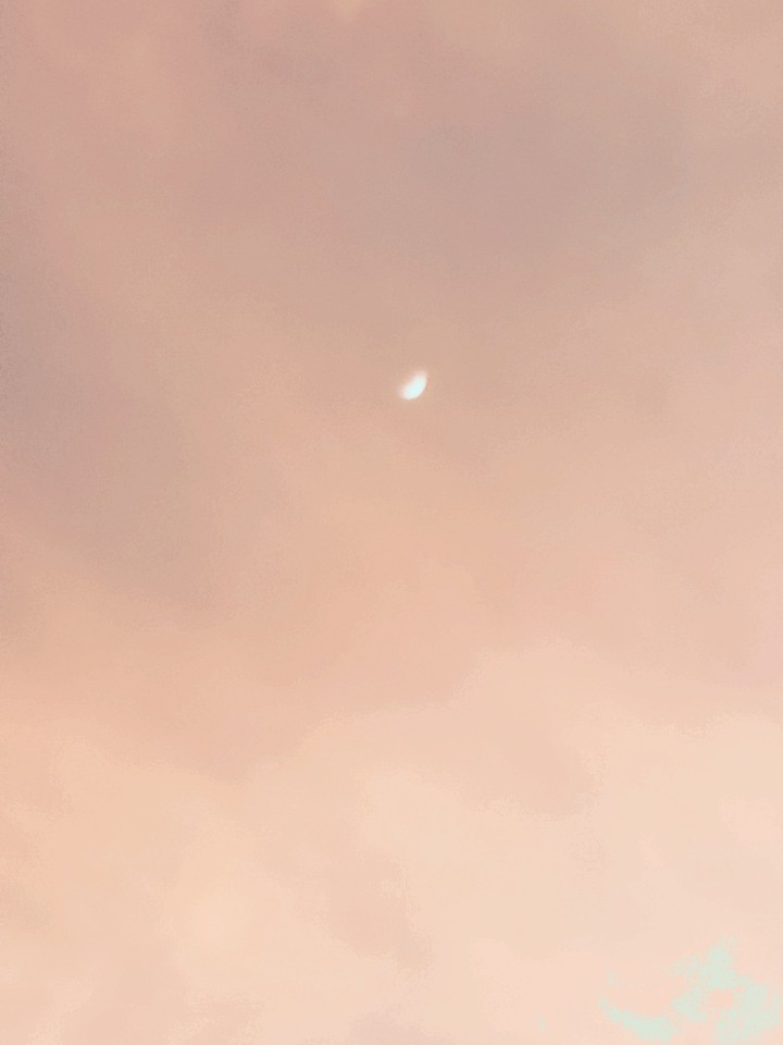 The moon