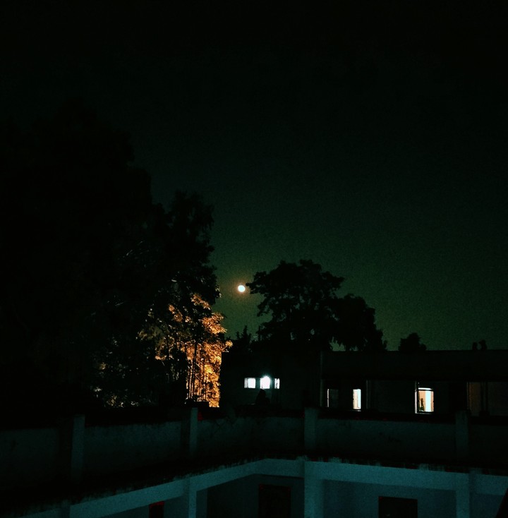 MOON nights