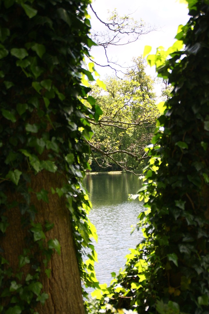 looking through