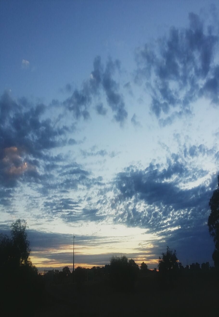 Orange Sunset