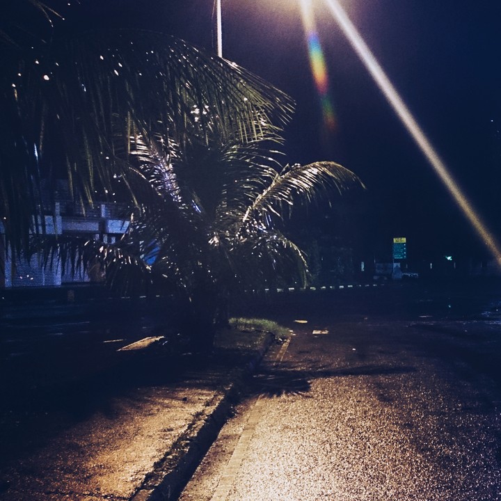 Street after rain