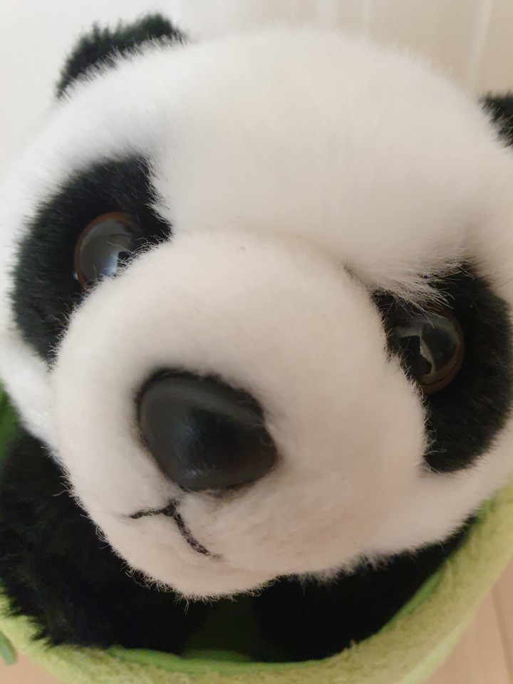 ㅗㅜ