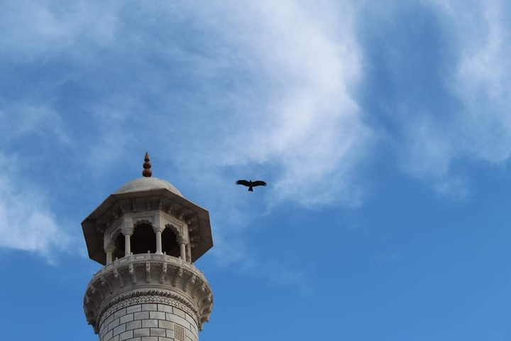 Taj Mahal