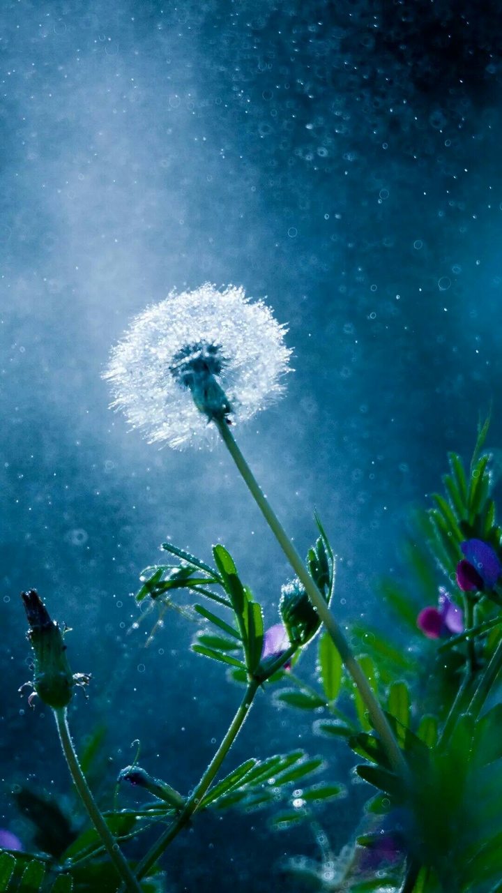 rainy day