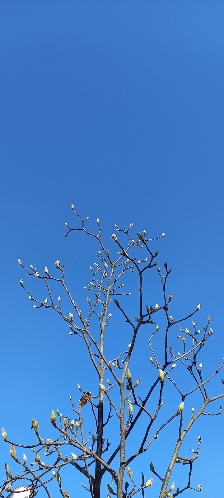 blue sky