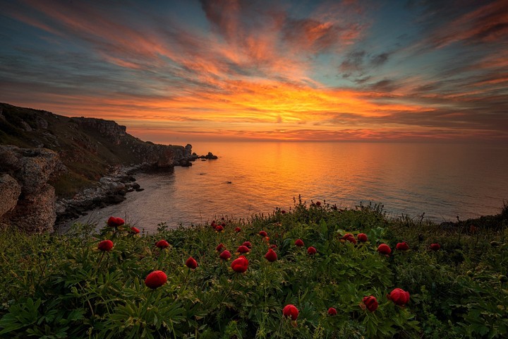 Sunset beauty