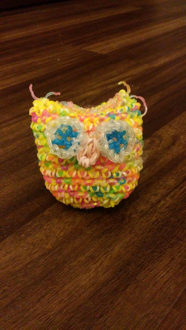 Owl