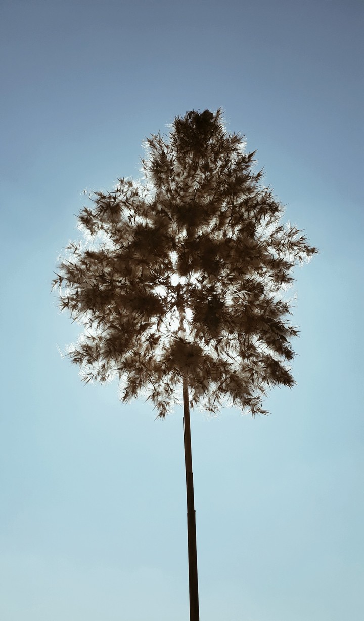 against the sun