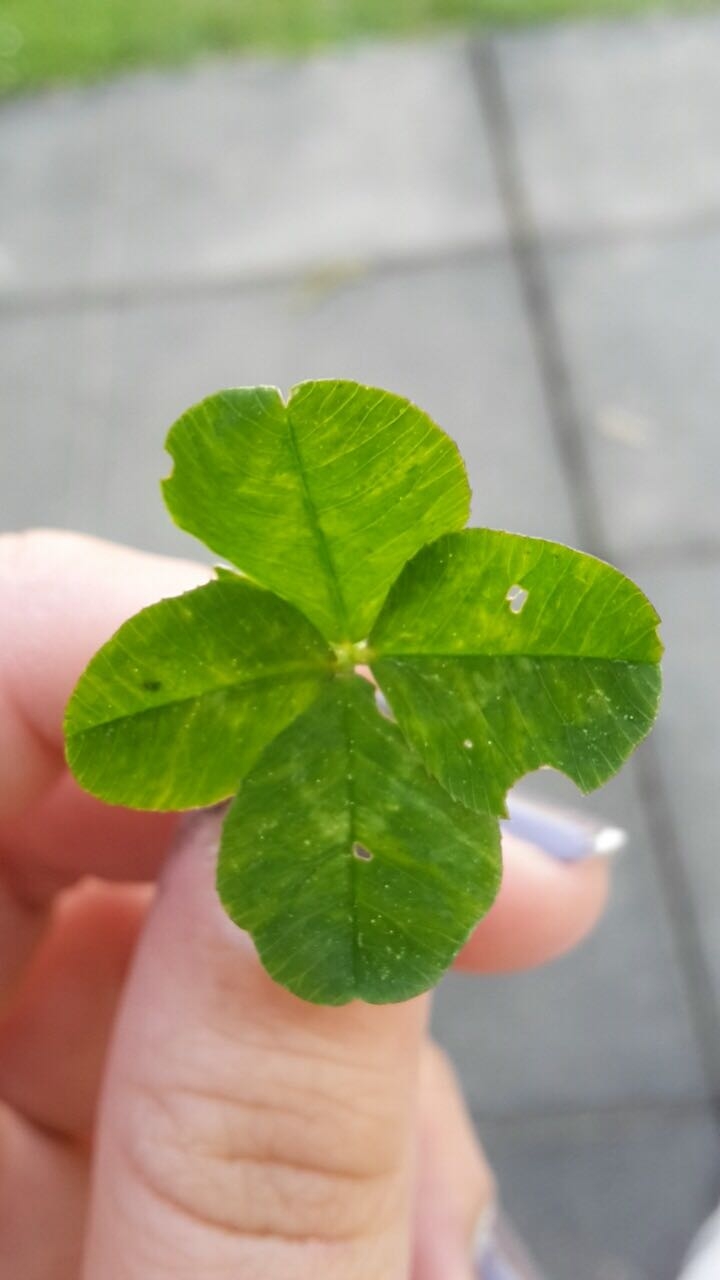 Good luck 
