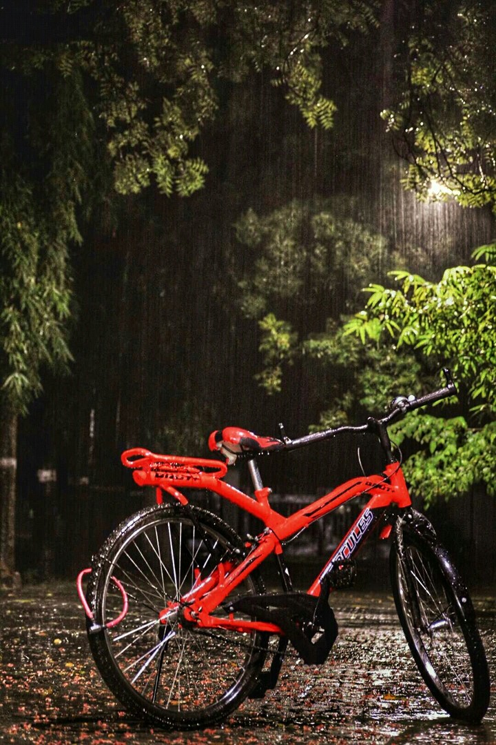 alone