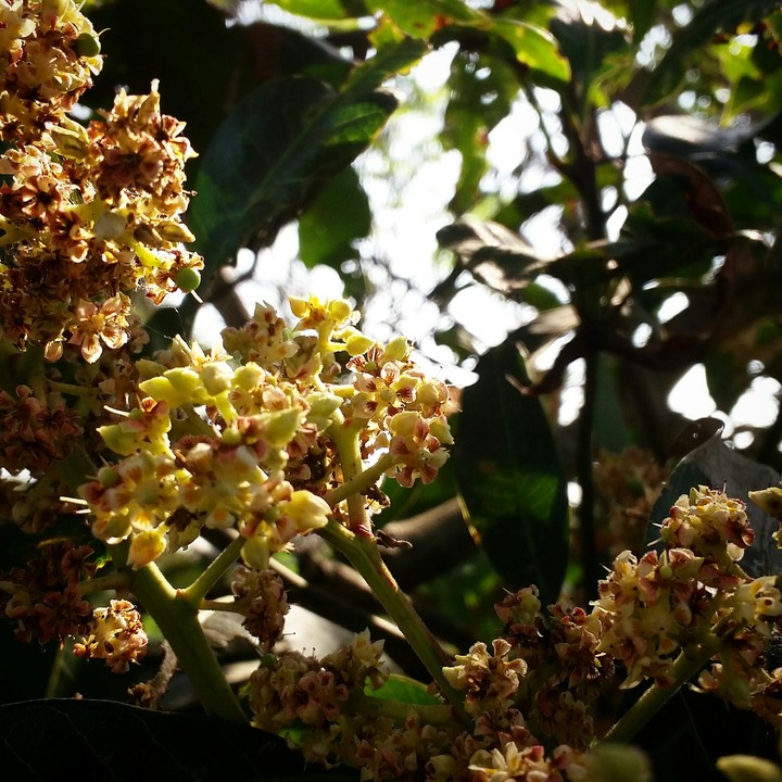 my hobby ....nature photography