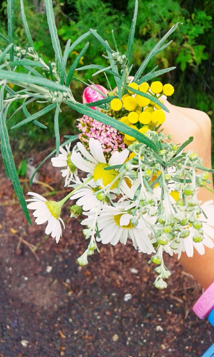 flower