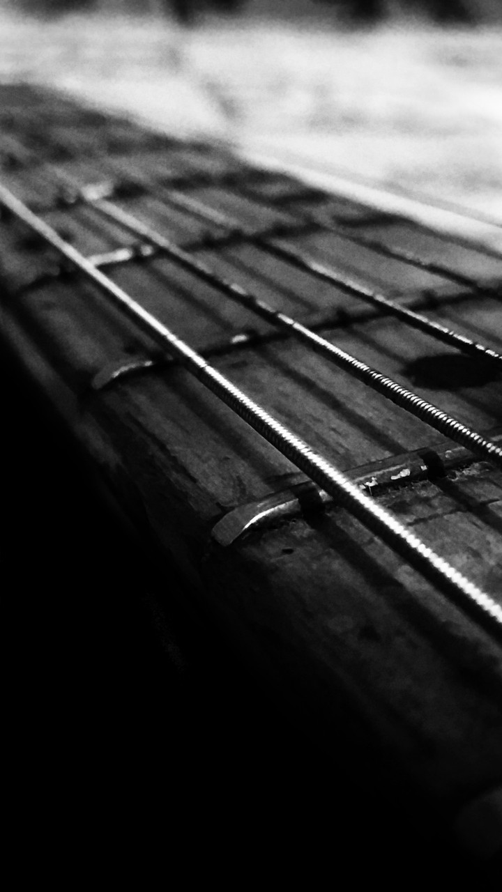 guitar fretboard