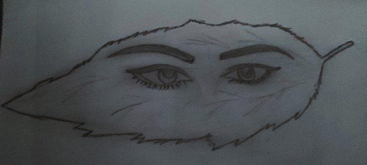 Eyes