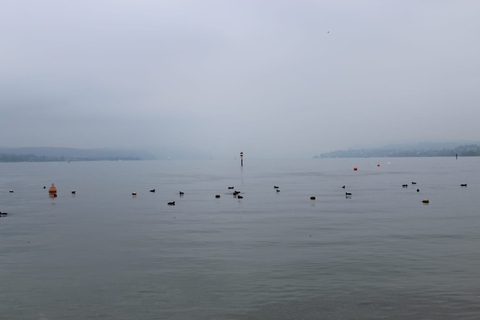 nebel