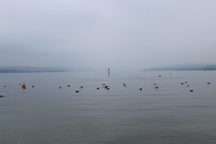 nebel