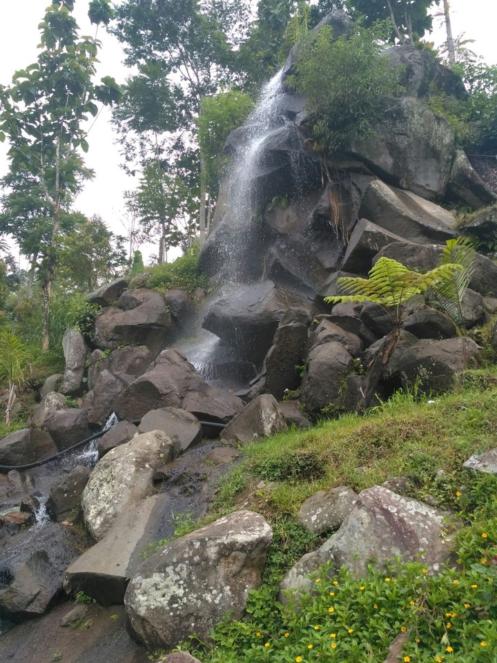 alam