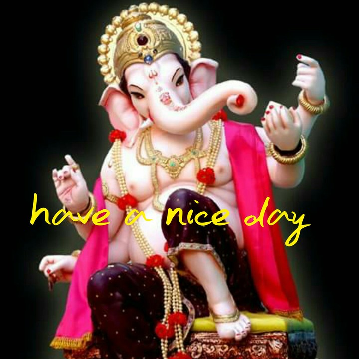 have a nice day