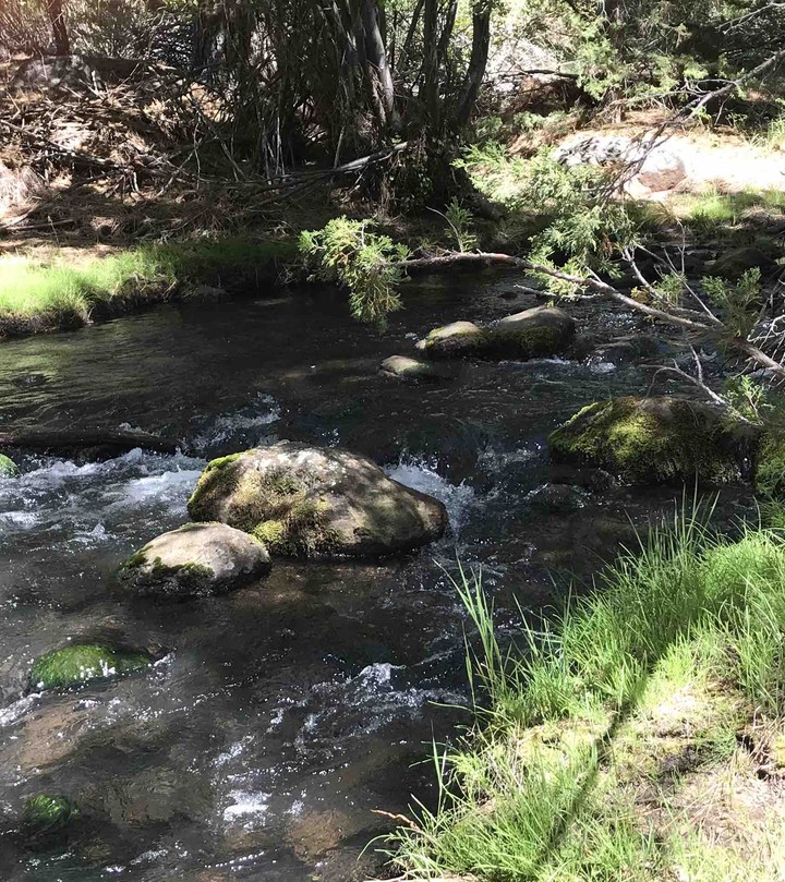 Beautiful river