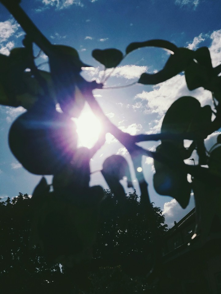 Sun