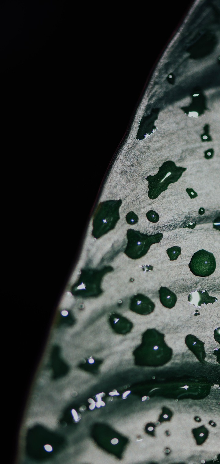 Rain drops