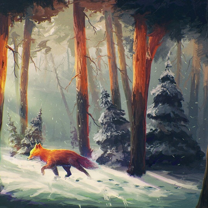 Fox