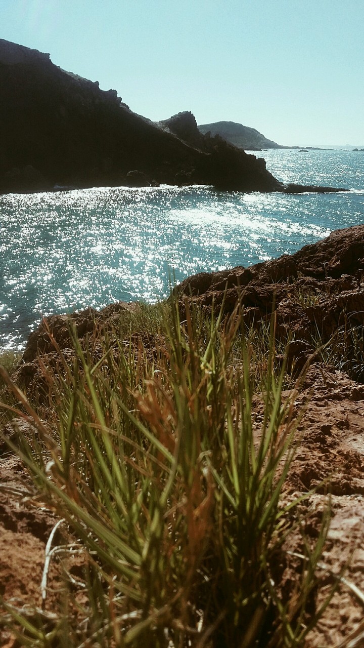 sea