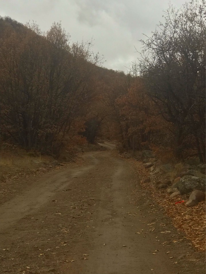 Roads