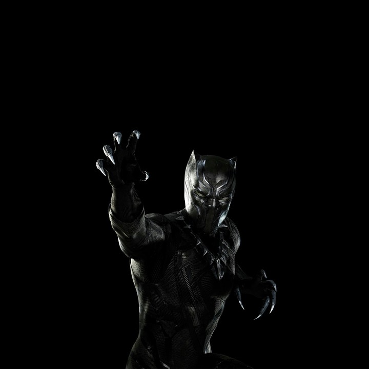 King of Wakanda 