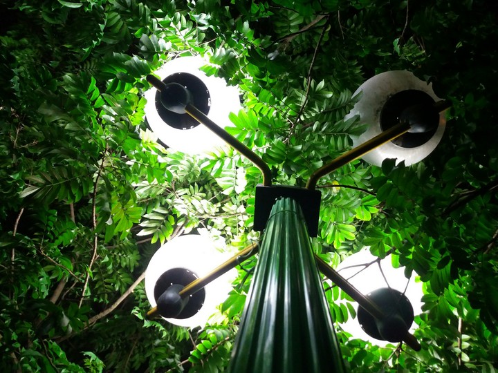 under lamppost