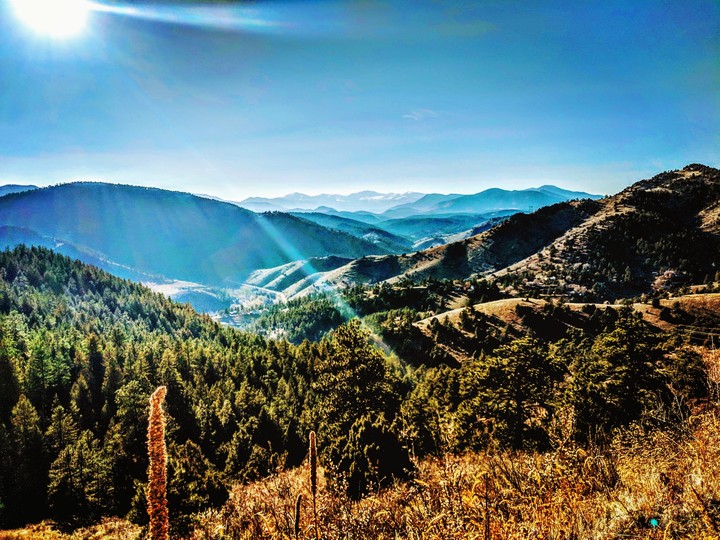 Mount Morrison