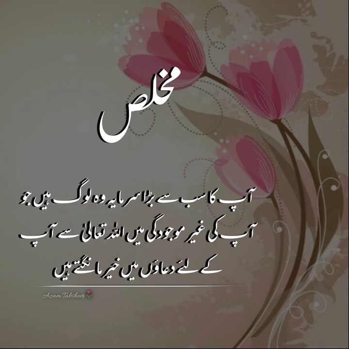 urdu aqwal
