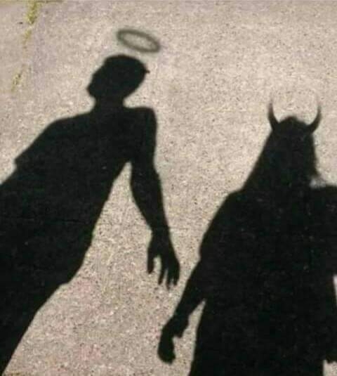 Sombra Anjo e ...