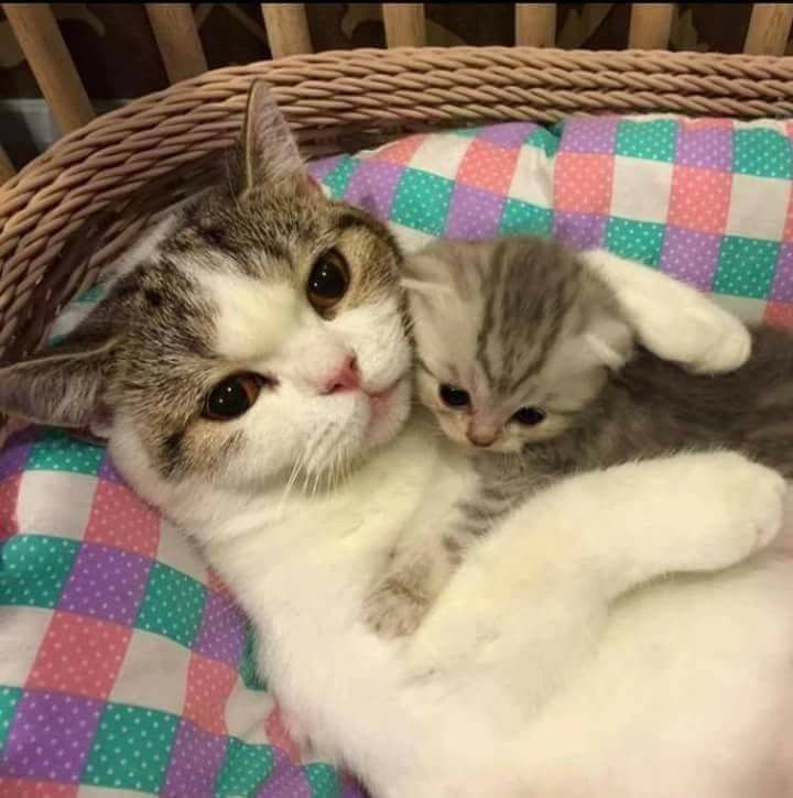 ❤❤❤