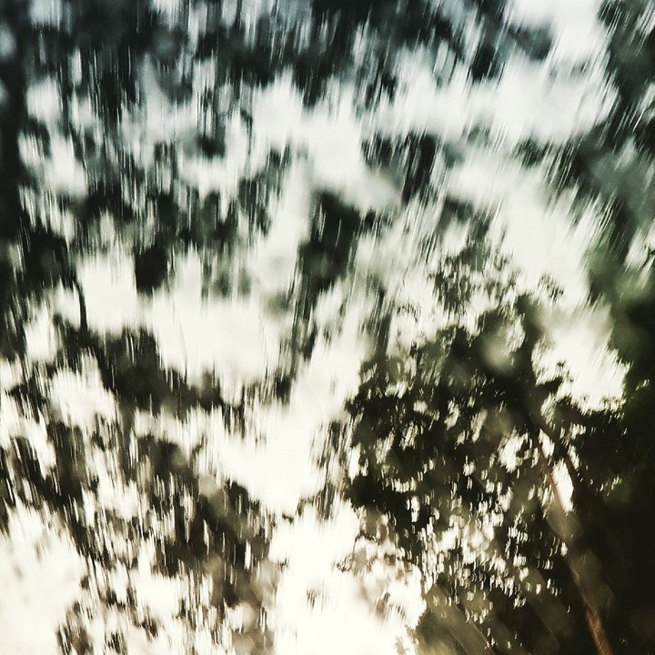 forest rain