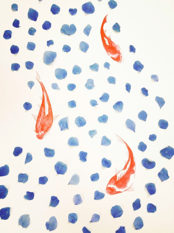 綺麗