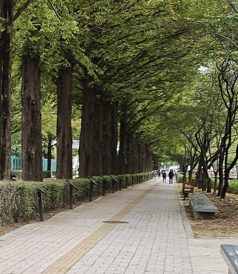 야구장과 공원