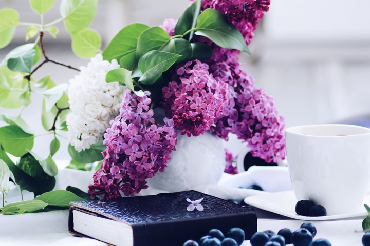 Still life