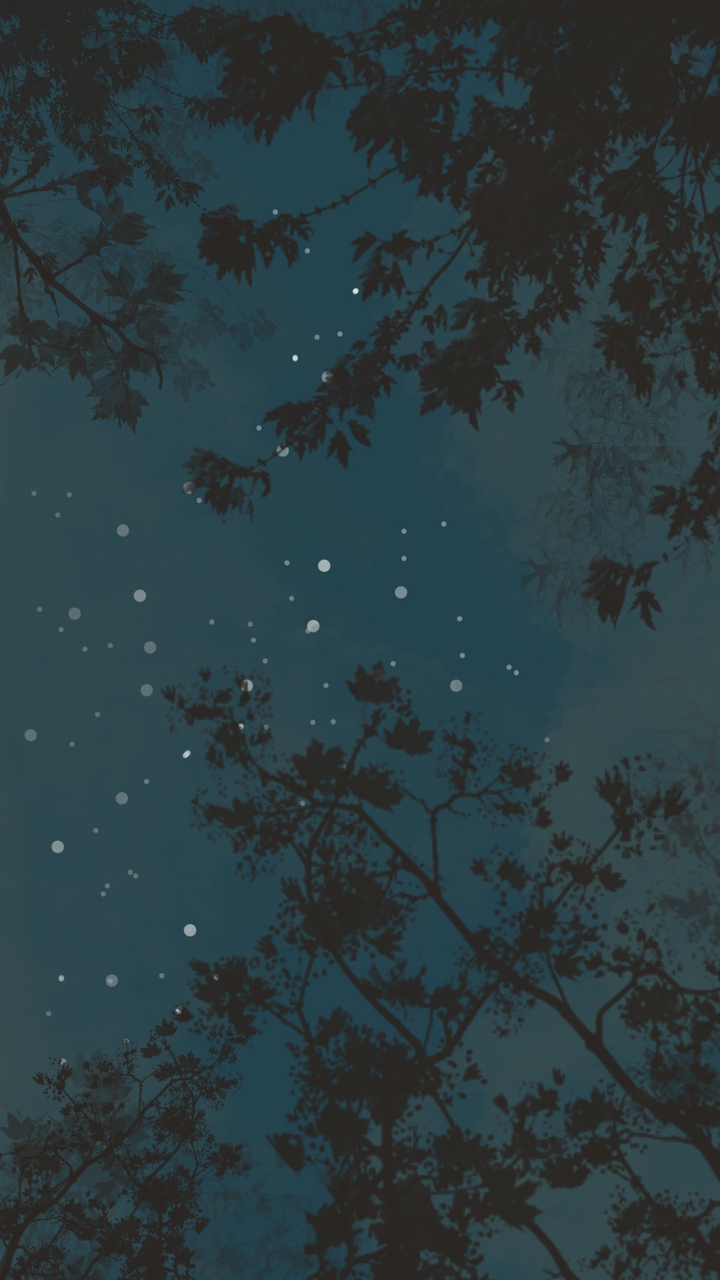 above the forest