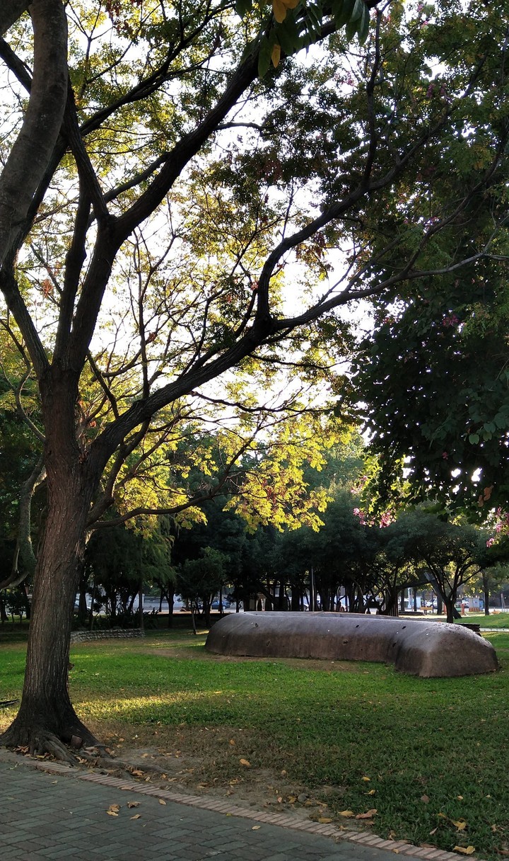 park