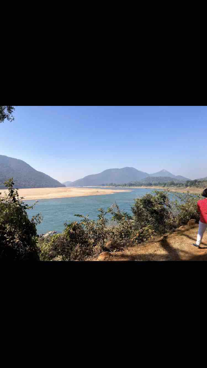 Odisha largest river Mahanadi making its path between green