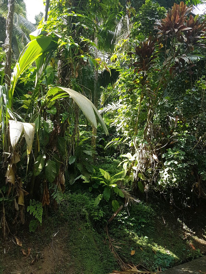 Ecosystem