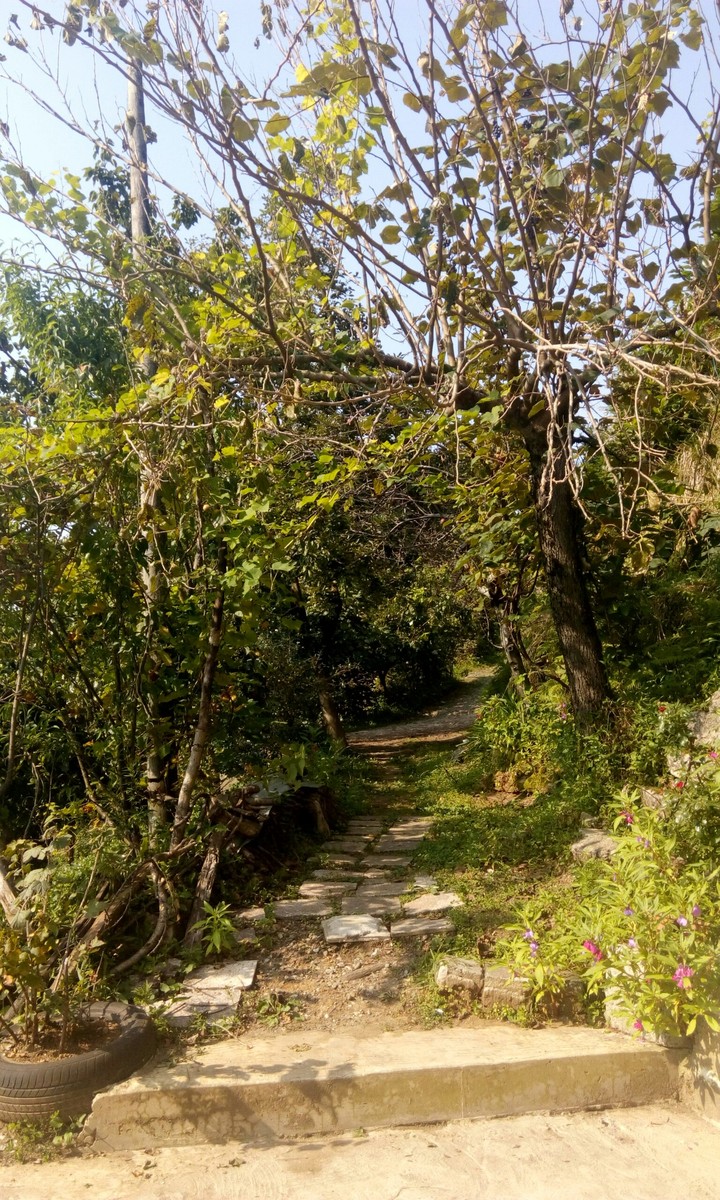 Köy