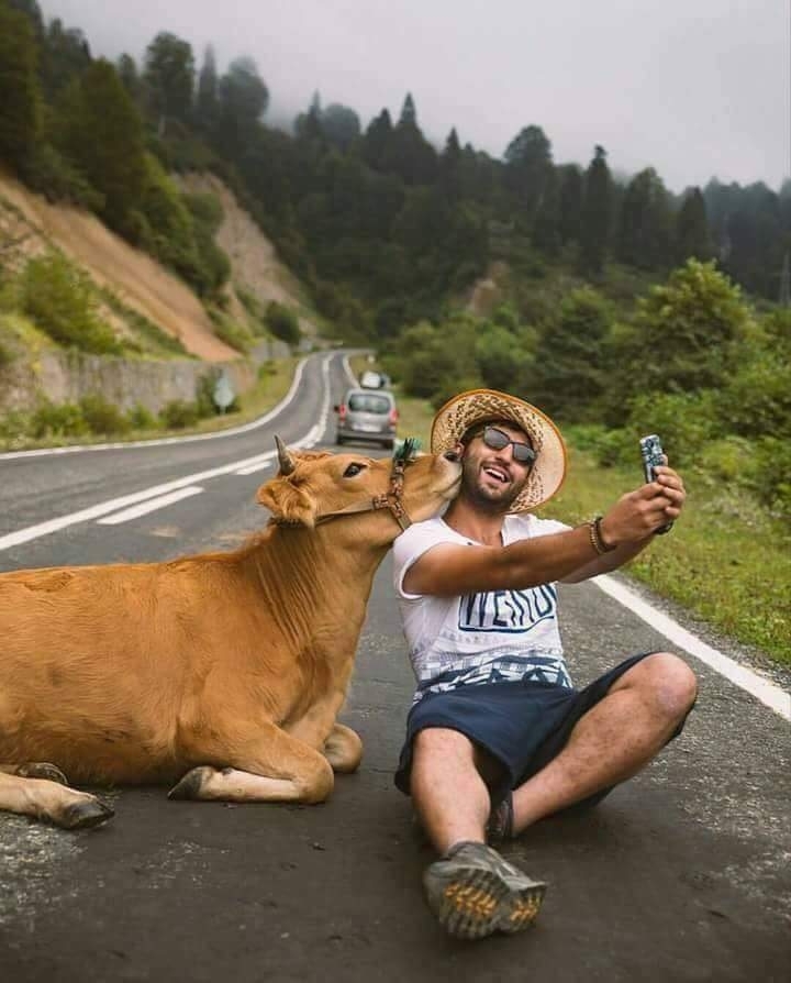 on the road